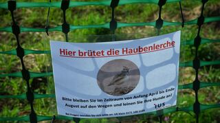 Achtung: Gerade hat die Brutzeit für die Haubenlerche begonnen.