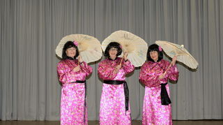 Der Tanz im Kimono des Mannheimer Awo-Balletts.