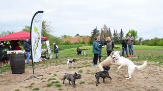 Kleine und große Hunde können nun auf der neuen Hundewiese miteinander toben und spielen. Es gibt eine große Wiese für alle sowie zwei abgetrennte Flächen.