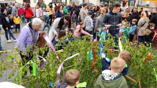 Gemeinsam schmücken die Kindergartenkinder den Maibaum, bevor dieser neben den Zunftbaum gestellt wird.