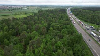 Mord an einer noch nichtidentifizierten Frau vor 1986 - so sieht der damalite Tatort an der A6 Richtung Heilbronn heute aus.