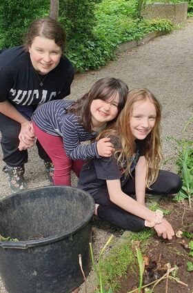 Sonja-Kristin Ulrich (v. l.), Emma Berlinghof und Greta Sacchetto packen mit an und stecken die Blumenzwiebeln in die Erde.