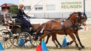 Anna Genkinger erzielt gemeinsam mit Beifahrerin Jasmin Brauchle sowie den Ponys Dana und AMD Nurejev den dritten Platz im Kombi Zwei- und Einspänner Pony.