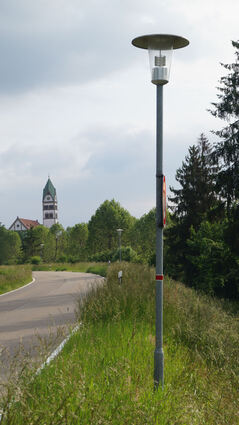 Die Pilzleuchten wie hier auf dem Rheindamm bilden die Ausnahme.