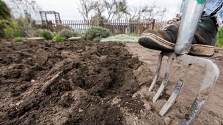 Für eine gesunde Ernte: Der Gartenboden wird mit der Grabegabel schonend gelockert und belüftet.
