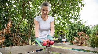 Grüner Daumen für eine grüne Zukunft - Die Anlage eines eigenen Komposts im Garten fördert eine nachhaltige Bodenpflege und Ressourcenschonung.