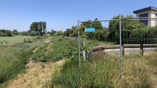 Nach der Verpflanzung von mehreren Bäumen ist der Hochwasserdamm bei der Fasnarie ziwchen Hebewerk (l. im Hintergrund) und Mühlgasse komplett gehölzfrei.