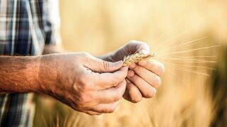 Durch den Einsatz digitaler Technik versucht das Pilotprojekt „Bessere Braugerste“ CO2 zu vermeiden – mit dabei ist auch Welde.