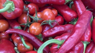 Peperoni, Tomaten und Paprika – eine fantastische Kombination für ein selbst gemachtes Ajvar. Das Bild ist zwar von 2022, doch von der feurigen Paste haben wir noch zu Hause.