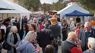 Die Situation der Straßenfeste im Ort könnte nicht gegensätzlicher sein – - während sich für das Rohrhofer Sommerfest zahlreiche Vereine gemeldet haben, ist die Situation der Teilnahme von Vereinen bei der Straßenkerwe noch eher mau.