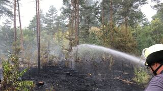 Waldbrand 2018 zwischen Oftersheim und Schwetzingen.