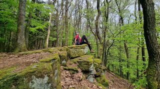 Auf der Route gibt es tolle Felsen, die mit Moos bewachsen sind.