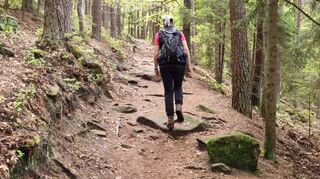 Die Route führt über schöne Waldwege.