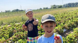 Ein „Daumen hoch“ gibt es für Schröders Erdbeeren.