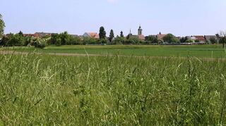 Die Gemarkung von Altußheim wird von den Untersuchungen nach Erdwärme nur am Rande berührt.