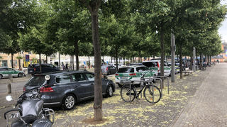 Die Zollfahrzeuge stehen auf dem Schlossplatz, Beamte sind währenddessen in den Lokalen zur Razzia gegen Schwarzarbeit.
