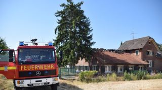 Die Feuerwehren aus Plankstadt, Schwetzingen und Eppelheim sind am alten Wasserwerk im Einsatz.