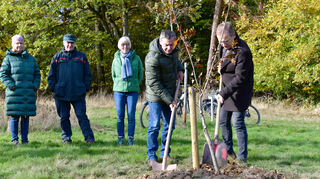 Am 12. November 2022 wurden 15 Bäume im Gedenken an Flutopfer im Generationenwald auf dem Mühlenberg gepflanzt – 14 für die Sinziger Flutopfer und ein Baum symbolisch für alle anderen Opfer aus dem Ahrtal. „Der Sinziger Generationenwald ist seit 2005 ein Ort, an dem wir Sinziger auch unserer Verstorbenen gedenken“, so Bürgermeister Andreas Geron damals, „daher möchten wir als Stadt hier ein offizielles Zeichen im Gedenken an unsere Flutopfer setzen.“ Im Bild: Ortsvorsteher Gunter Windheuser und Bürgermeister Andreas Geron. Am 15. Juli 2023 gibt es Gedenkfeiern in Sinzig und auch ein Denkmal für die Flutopfer wird eingeweiht.