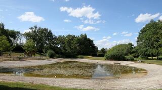 Wasserknappheit im Gartenschaupark? Nicht wirklich: Der See beim großen Kinderspielplatz ist nicht ausgetrocknet, sondern halb leergepumpt, damit die defekte Pumpe für Wasserspiele demontiert und per Radlader abtransportiert werden konnte.