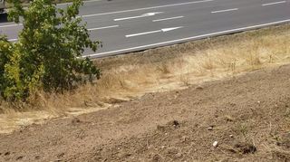 Der Abhang zwischen Höhenweg und B 291 ist teilweise komplett frei von Pflanzen – zumindest aktuell.