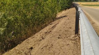 Links im Bild ist noch Gebüsch zu sehen. Der Wuchs zwischen diesem und der Leitplanke am Feldweg ist allerdings bei den Arbeiten letztlich komplett entfernt worden.