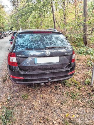 Ein Auto steht am Freitag direkt neben dem Waldweg. Links im Hintergrund zeigt sich, wie weit die geparkten Fahrzeuge quasi lückenlos den Wegesrand säumen.