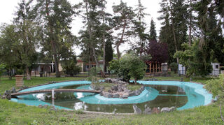 Ein Blick in den modernisierten Vogelpark zeigt im Hintergrund Volieren und im Vordergrund einen Wasserbereich.