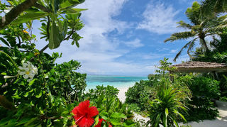 Le Méridien Maldives Resort &amp; Spa - die Insel ist sehr grün.