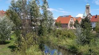 Blick auf das HÖP-Gelände, das in vorbildlicherweise Wasser aufnehmen kann und zeigt, Wassermanagement hat auch seine schönen Seiten.