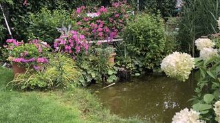 Ein kleiner von Stauden und Sträuchern umsäumter Teich sorgt für ein gutes Mikroklima im grünen Domizil von Rose Geiß.