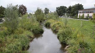 Wo einst zwei naturferne Gewässer kanalisiert dahinströmten, hat sich durch das Hochwasserschutz- und Ökologieprojekt ein Vorzeigegelände entwickelt, dass dem Schutz dient und die Natur in die Stadt holt.