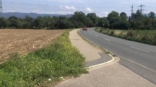 An dieser Stelle zwischen Plankstadt und Eppelheim könnte bald die geplante und viel diskutierte Güterbahntrasse entlanglaufen. Gegen diese Planungen sprechen sich die Christdemokraten aus.