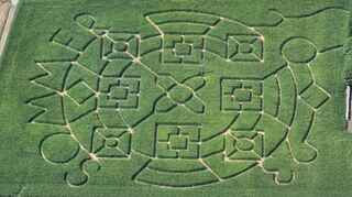 Auf einer Fläche von 180 mal 40 Metern zeigt das Maislabyrinth mehrere quadratische Formen in einem großen Kreis.
