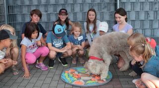 Denise Townsend-Hoffmann(l.) beobachtet mit den sichtlich interessierten Kindern, wie Felina die versteckten Leckerlis erschnüffelt.