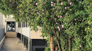 Die Caritas-Pflegeschule in der Scheffelstraße muss 2025 nicht raus, könnte aber in die Kirche St. Hildegard in Käfertal-Süd umziehen, wenn der Caritas-Verband für die Erzdiözese Freiburg das Gotteshaus kaufen und umbauen sollte. Bild: Widdrat