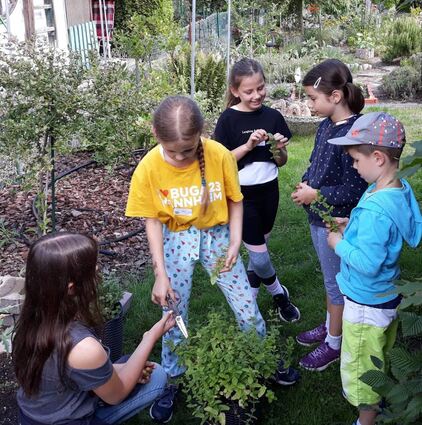 Die Kinder finden heraus, wie man schonend Pflanzen schneidet. Einiges dürfen sie sogar mit nach Hause nehmen.