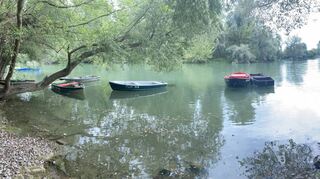 Zwar steigen die Pegelstände rund um den Rhein – wie auf dem Bild beim Bootshaus des Brühler Wassersportvereins zu erkennen – derzeit an, doch bestehe laut Experten keine Hochwassergefahr.