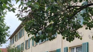 Die CDU sieht Oftersheim in Sachen Wohnungen im Gemeindebesitz gut aufgestellt. Dieses Haus in der Eichendorffstraße, das ebenfalls der Kommune gehört, soll im kommenden Jahr saniert werden.
