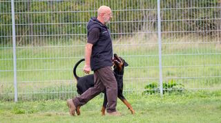 Ganz auf seinen Hundeführer fixiert zeigt sich die Dobermann bei der Gehorsamsübung. Bild: Pinter