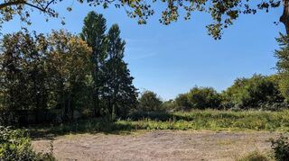 Hier standen einst die Container der Obdachlosenunterkunft der Stadt. Die Fläche wurde entsiegelt, im Herbst wird eine Wiese mit gebietsheimischem Saatgut eingesät. Bild: Mühleisen