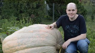 Alter und neuer Kürbiskönig des Oftersheimer Gartenbauvereins: Der größte Kürbis von Simon Trauner bringt fast eine Vierteltonne auf die Waage.