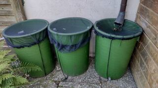 Regenwassertonnen in einem Garten in Ketsch: Ein engmaschiges Netz verhindert, dass Tigermückenweibchen zur Eiablage kommen.