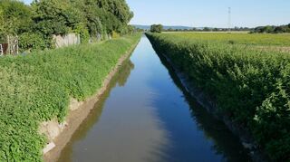 Schnurgerade und ziemlich trübe: Der Landgraben, kurz bevor er am Ortsrand von Oftersheim mit dem Leimbach zusammenläuft, hier mit Blick Richtung Kraichgau. Durch die naturnahe Umgestaltung würden allerdings Ackerflächen und die Kleingartenanlage (l.) weichen müssen.