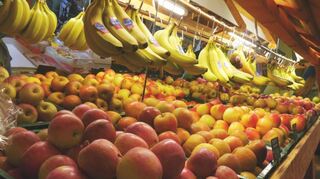 Beim Obst- und Gemüsegarten gibt es eine große Auswahl – und der Kunde kann die Anzahl selbst auswählen.