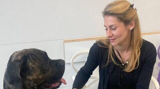 Helfen gerne: Die Hockenheimerin Eva Hangs mit ihrem Hund „Buddy“, der schon als Blutspender im „Einsatz“ war.