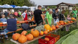 Der „Tag des Gartens“ des Obst- und Gartenbauvereins erfreut sich bei herrlichem Herbstwetter eines regen Zuspruchs aus der Bevölkerung.