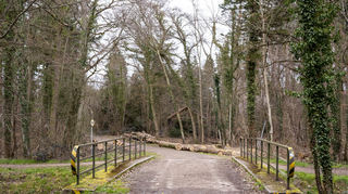 12.03.23 Wanderung im Waldgebiet bei Reilingen bzw. Altlussheim in Nordbaden mit Start und Ziel am direkt an der Gemarkungsgrenze liegenden Waldparkplatz Altlussheim. Eine stabile Brücke aus Beton führt über den Kriegbach. Die Hütte wird auf einer Karte mit "Ruh dich aus!" gekennzeichnet (Archivbild)