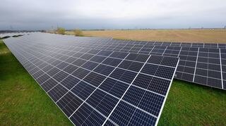 Solaranlagen auf einer Wiese: Ist das auch eine Option für Plankstadt?