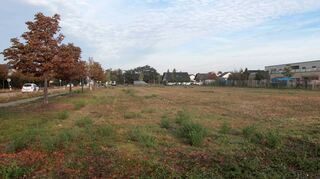 Am linken Bildrand ist die Straße von Neulußheim nach Altlußheim zu erkennen, rechts der Kindergarten Sonnenschein. Die Lücke zur Salierstraße im Hintergrund hin soll mit dem Bau des Seniorenheims geschlossen werden.