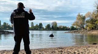 Im Wasser und im Wald:Ein Taucher sucht am Mittwochmorgen in der Bucht bei der Silberpappel nach Gegenständen.